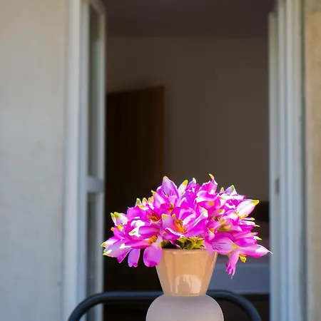 Apartman Rose Trebinje